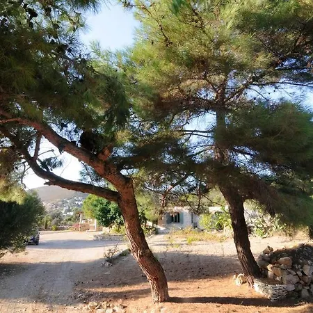 Dolly's Dream House Casa vacanze