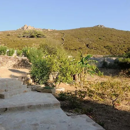 Dolly's Dream House Камбос